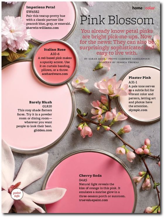 Pink Paint Color Schemes: Blossom