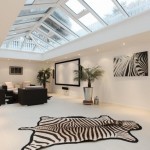 zebra rug and skylight