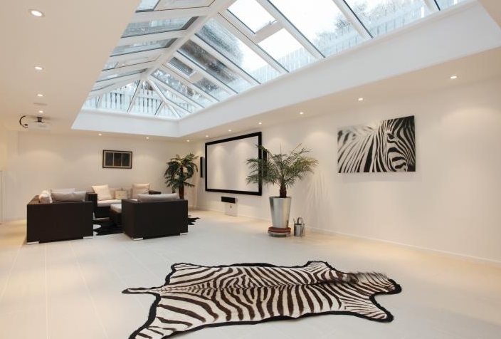 zebra rug and skylight