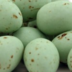 green-spotted-eggs