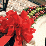 03-red and green apple garland christmas decoration