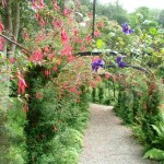 Penrhyn Castle-garden