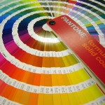 pantone paint chips