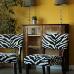 Mustard yellow feature wall with zebra print chairs