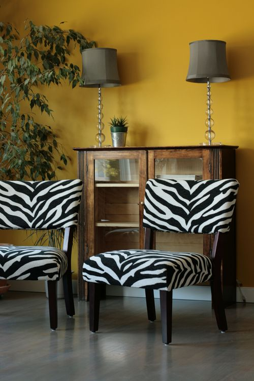 Mustard yellow feature wall with zebra print chairs