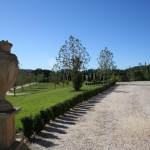 french country home in sydney 3