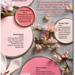 Pink Paint Color Scheme: Blossom